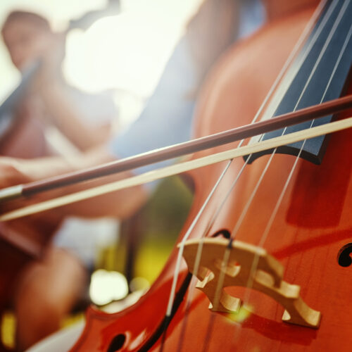 Cropped shot of an unrecognizable woman playing a cello outdoors