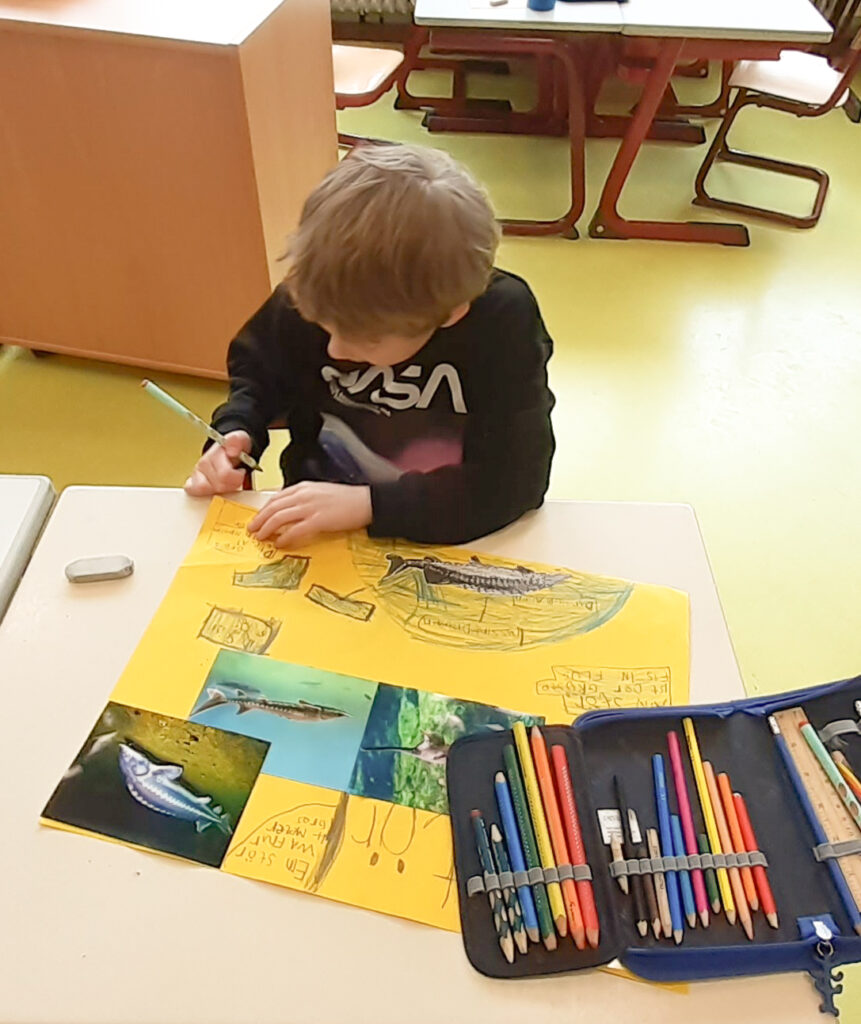 Lieblingstiere in der 1. Klasse